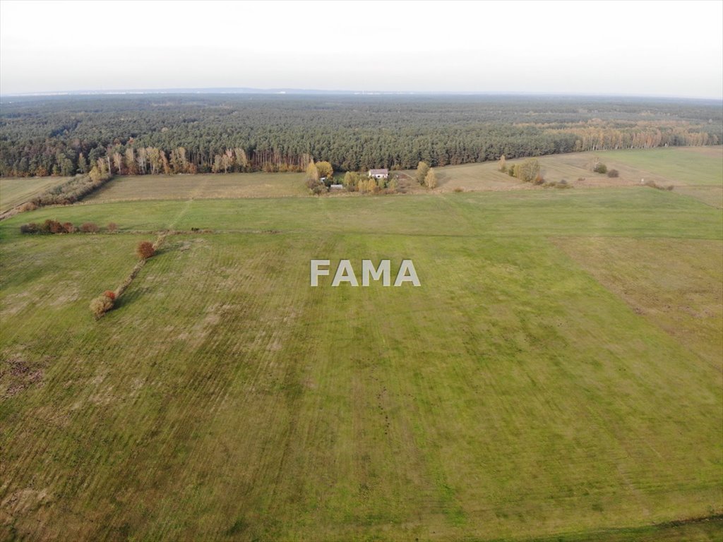 Działka 3089 m² pod zabudowę, Ludwinowo, Włocławek Ludwinowo  3 089m2 Foto 1