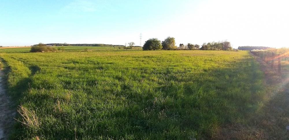 Działka 1,7 ha z warunkami zabudowy i stawkiem Pniewy, Podpniewki  17 000m2 Foto 1