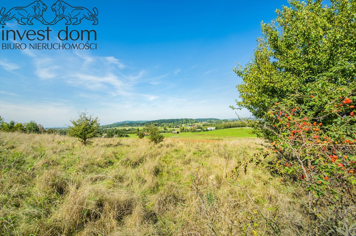 Działka rolna na sprzedaż Mszanka  9 500m2 Foto 9