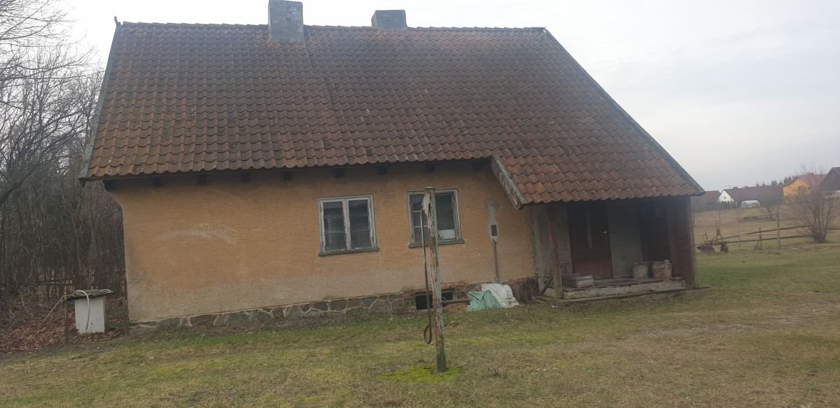 Lokal użytkowy na sprzedaż Elganowo, Elganowo  587m2 Foto 2