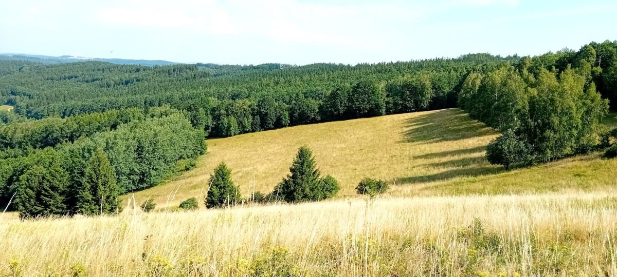 Działka budowlana na sprzedaż Michałkowa  1 200m2 Foto 2