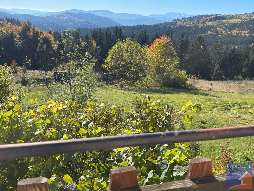 Dom z dużą działką w Zalesiu – idealny dla miłośników natury Zalesie  224m2 Foto 1