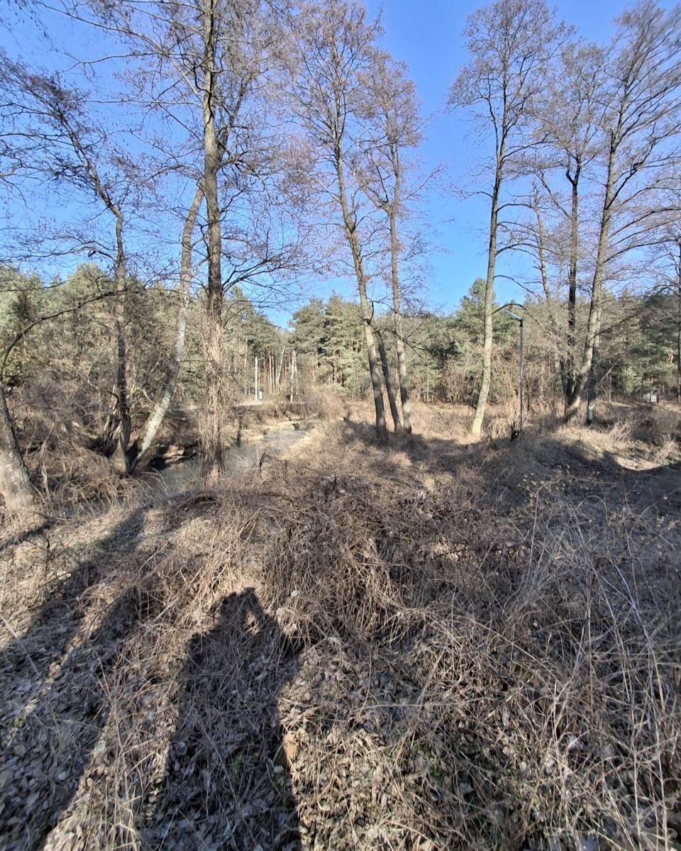 Lokal użytkowy na sprzedaż Tartak  52 600m2 Foto 10