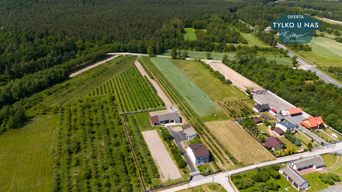 Działka rolna na sprzedaż Zielonka  3 700m2 Foto 6