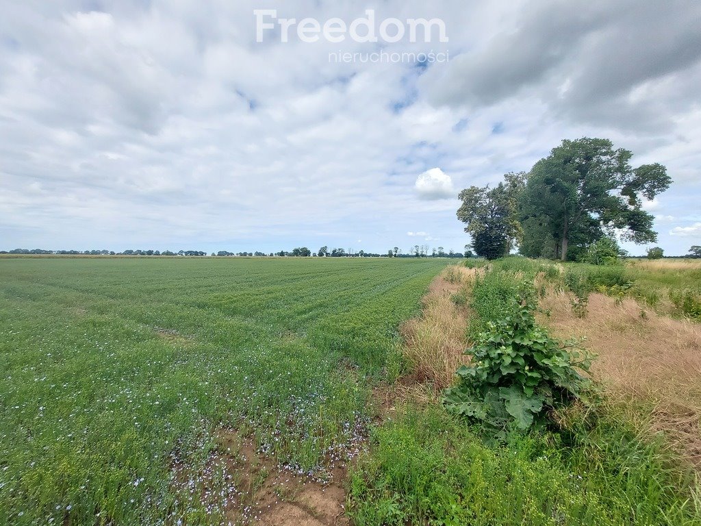 Działka rolna na sprzedaż Kamienica  9 400m2 Foto 1