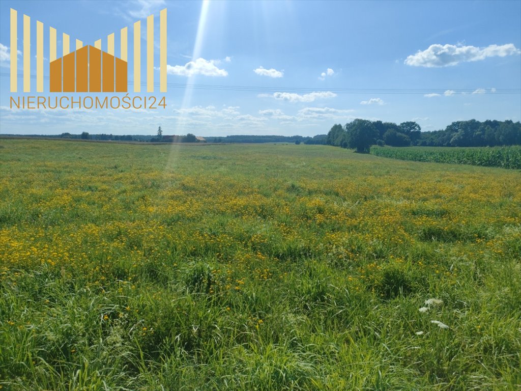 Sprzedam działkę rolną 2,47 ha w Dobre z czynną uprawą Dobre  24 700m2 Foto 1