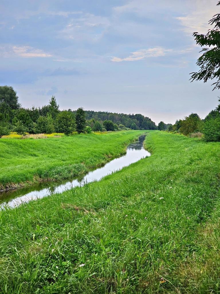 Działka 21 100 m² pod rekreację lub inwestycję w Dąbrowie Dąbrowa  21 100m2 Foto 1