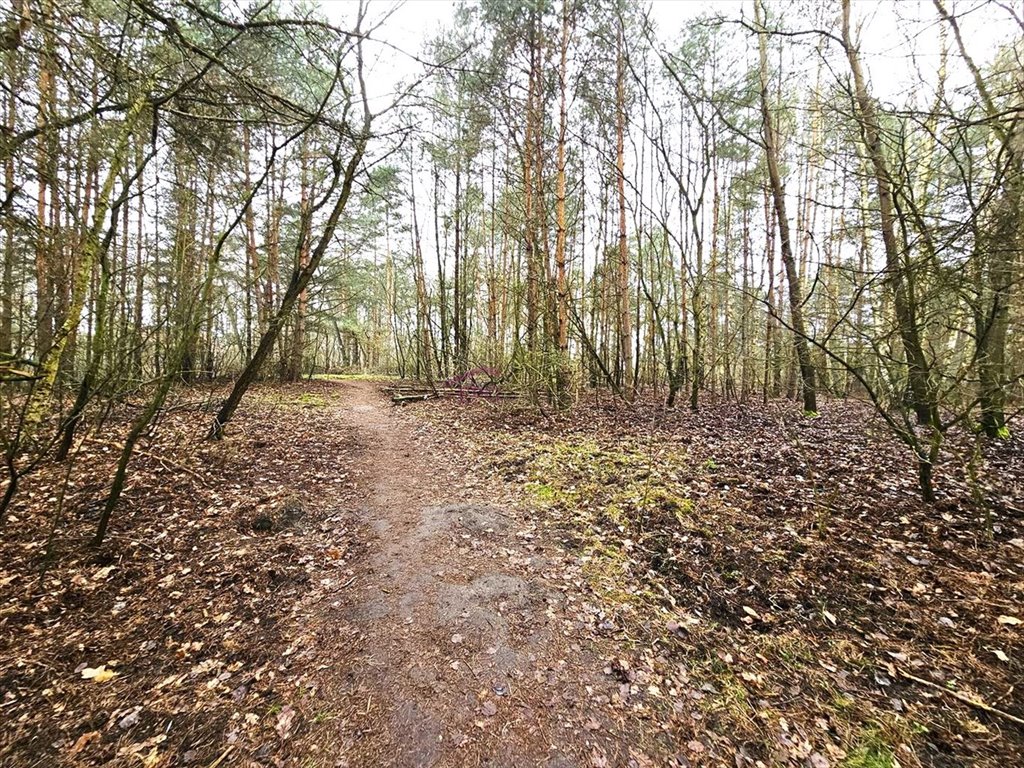 Działka inwestycyjna na sprzedaż Katowice, Wymysłów, Wymysłów Tylna  30 000m2 Foto 3