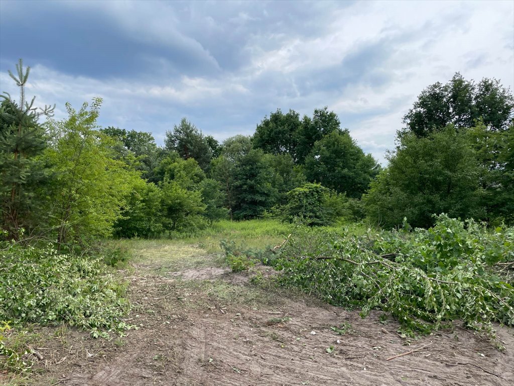 Działka budowlana na sprzedaż Marki, Marki  1 562m2 Foto 1