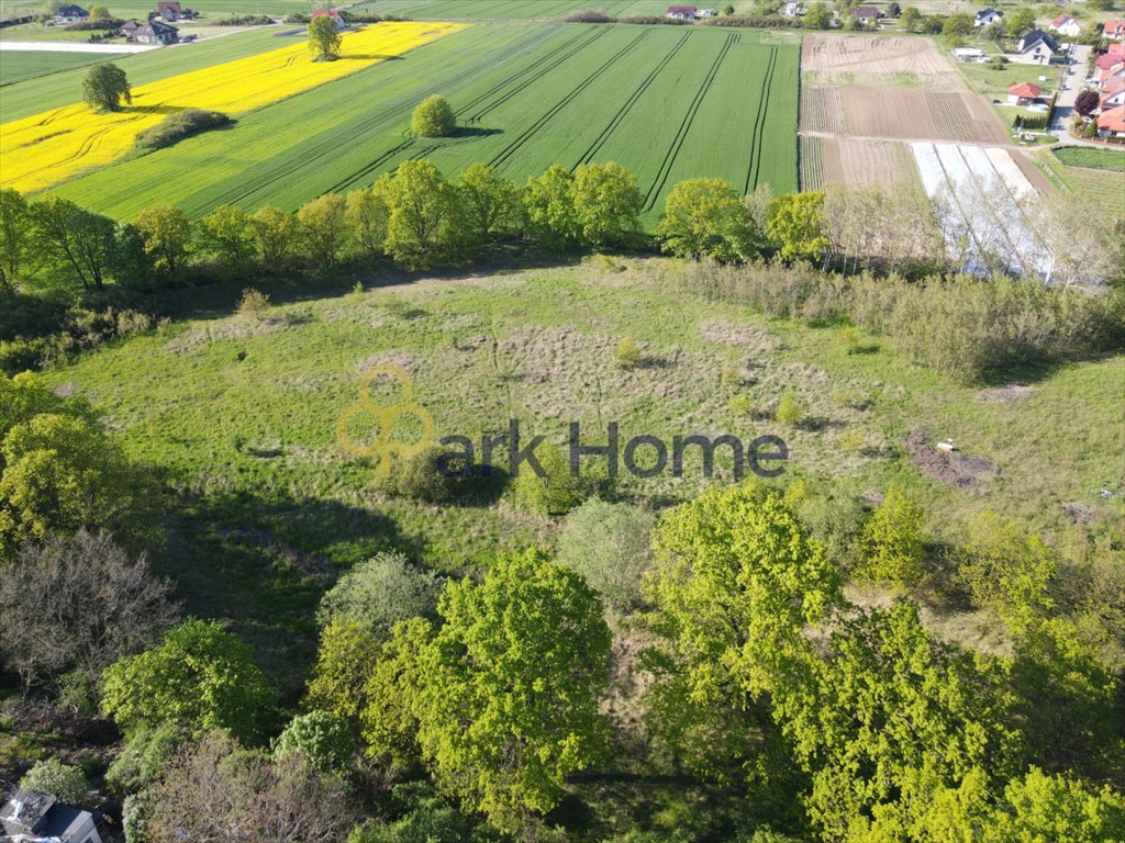 Działka inwestycyjna na sprzedaż Serby  18 900m2 Foto 9