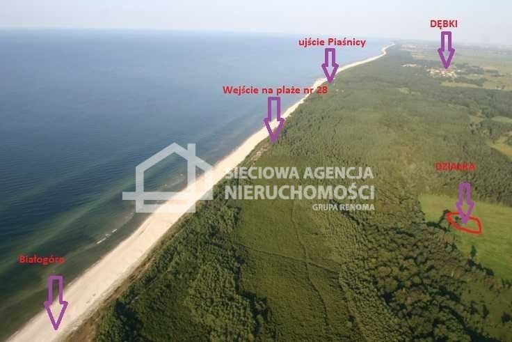 Działka rolna 1953 m² wśród lasów, blisko plaży Dębki  1 953m2 Foto 1