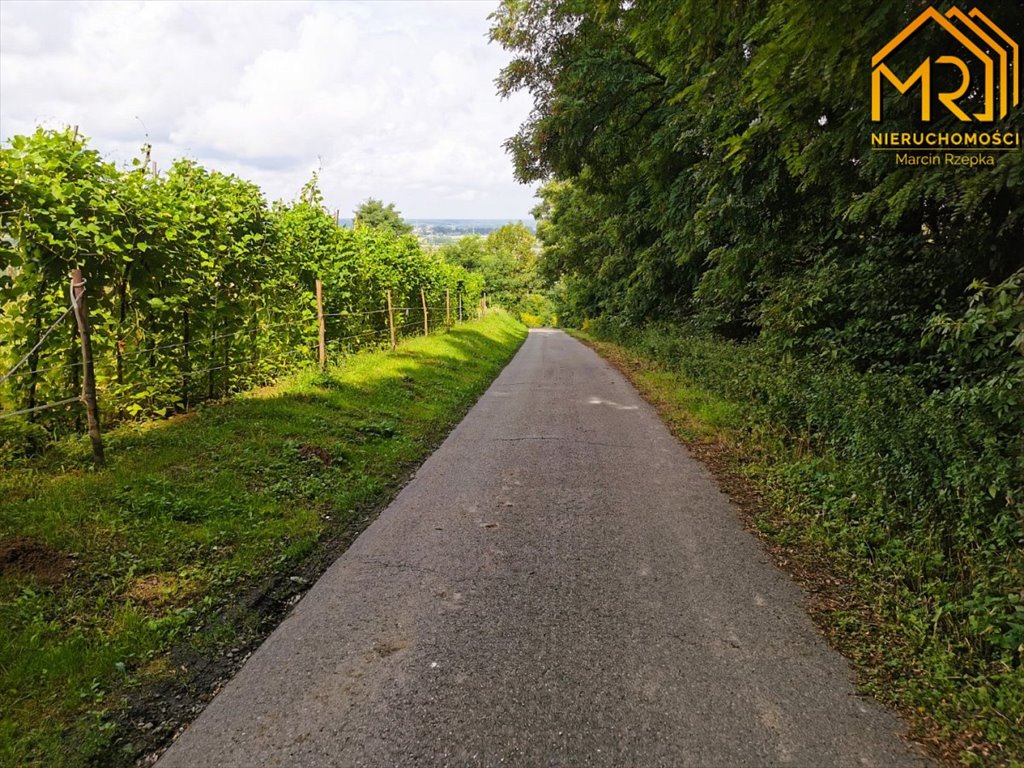 Działka budowlana na sprzedaż Dąbrówka Szczepanowska  3 100m2 Foto 18