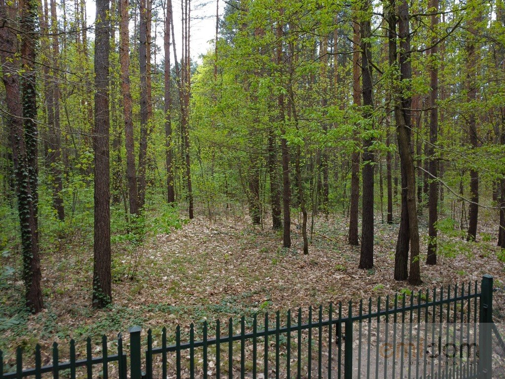 Działka leśna na sprzedaż Siestrzeń  3 000m2 Foto 1
