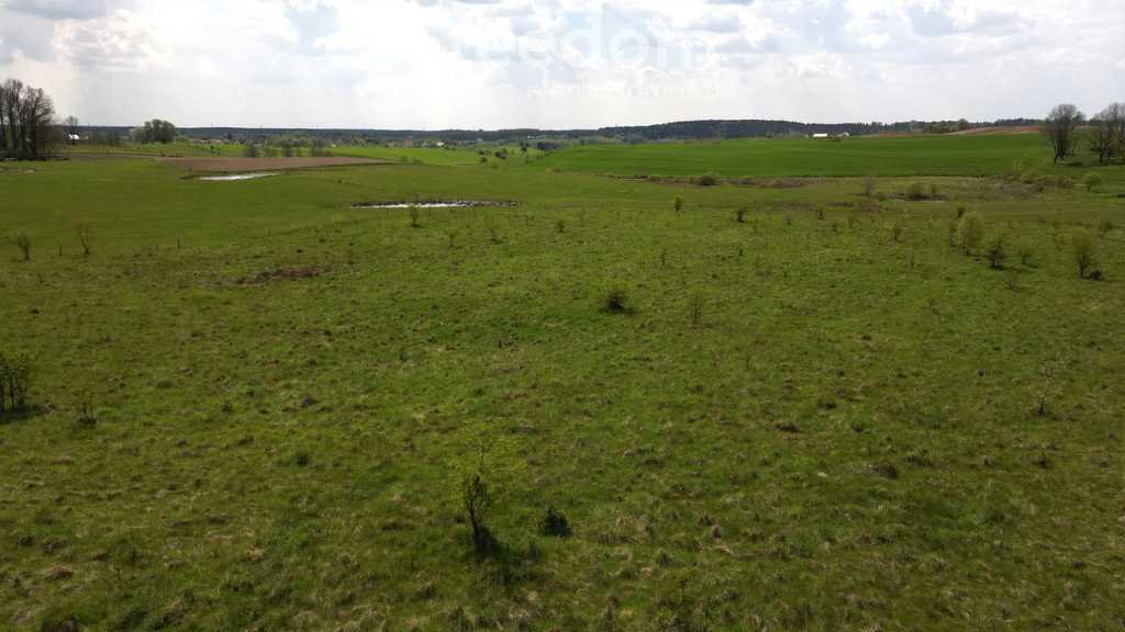 Działka rolna na sprzedaż Różnowo  16 800m2 Foto 10