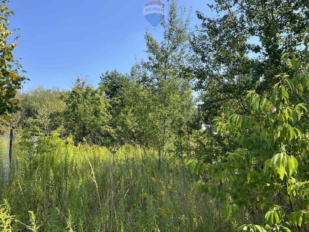 Działka rolna 1500 m² w Łosiu – spokój i natura Łoś  1 500m2 Foto 1