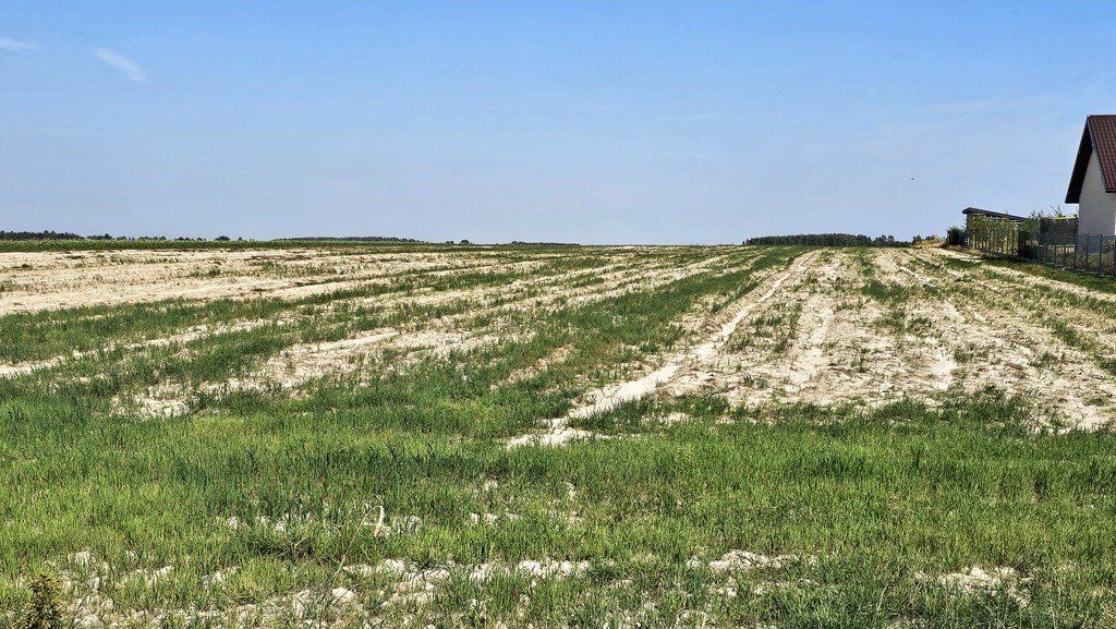 Działka budowlana na sprzedaż Pałecznica  2 100m2 Foto 3