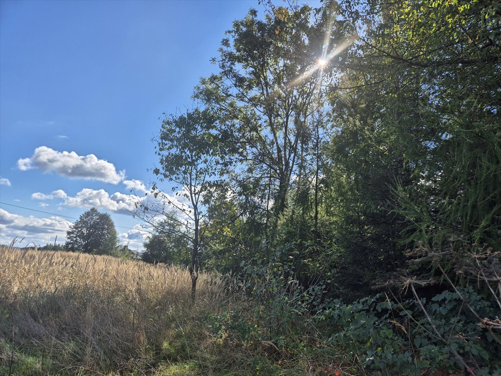 Działka budowlana na sprzedaż Harklowa  6 600m2 Foto 6