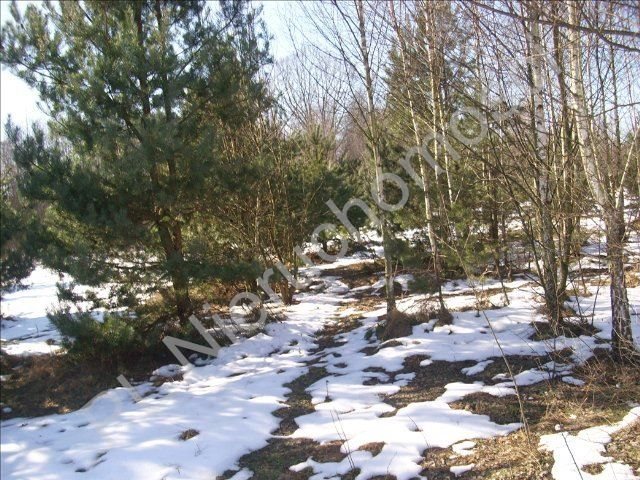 Działka rolna na sprzedaż Grzegorzewice 13 500m2 Foto 1 Działka rolna na sprzedaż Grzegorzewice 13 500m2 Foto 1