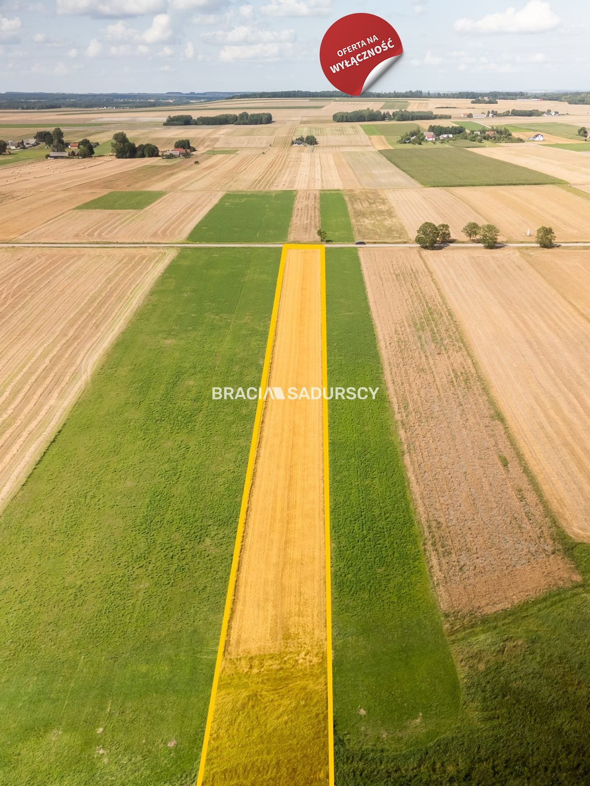 Działka budowlana na sprzedaż Sędziszów, Mstyczów  4 000m2 Foto 1