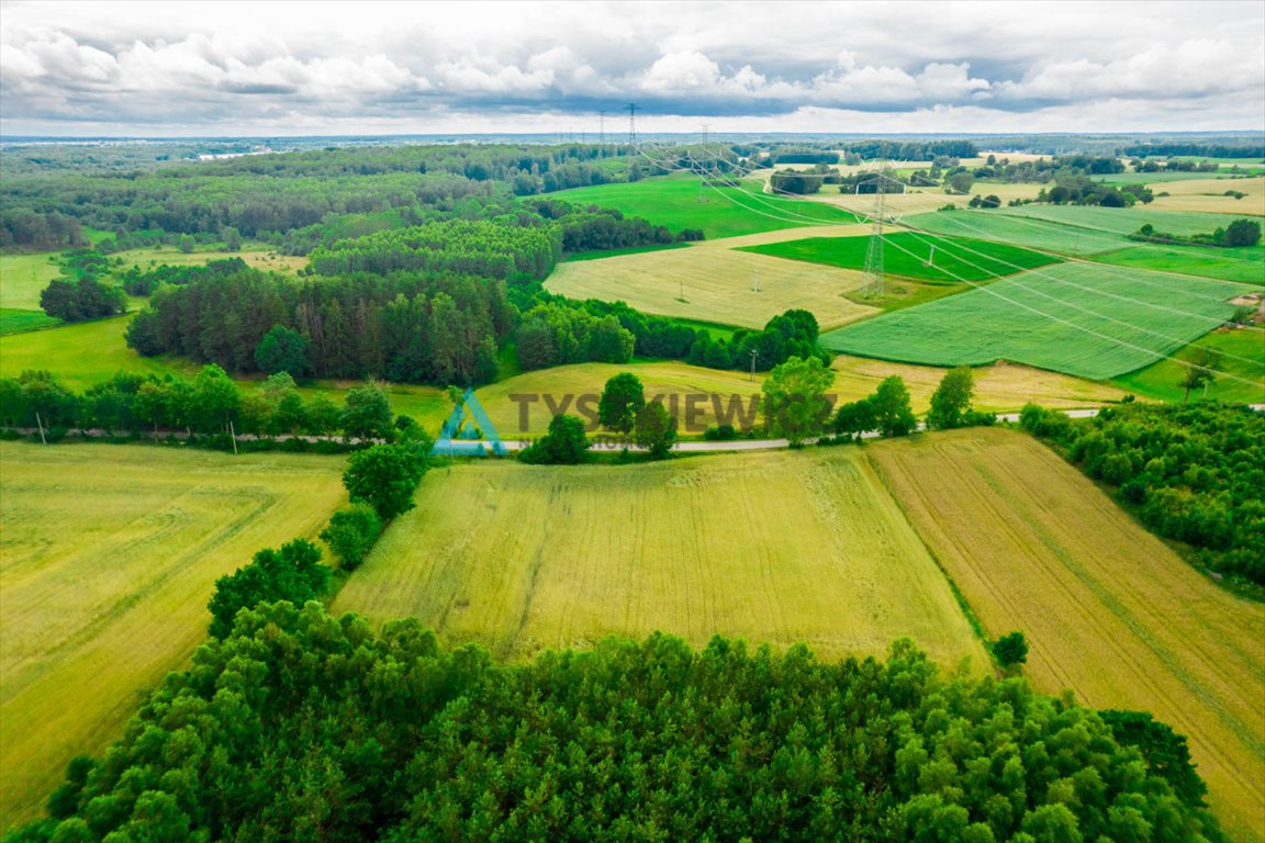 Działka budowlana na sprzedaż Dąbrówka  7 800m2 Foto 6