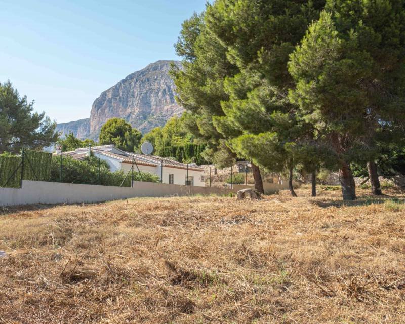 Działka budowlana na sprzedaż Hiszpania, Javea, Hiszpania, Javea  1 500m2 Foto 3