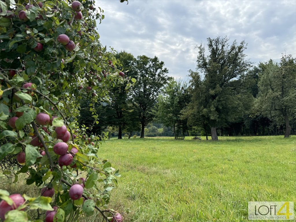 Działka inna na sprzedaż Buchcice  8 500m2 Foto 1