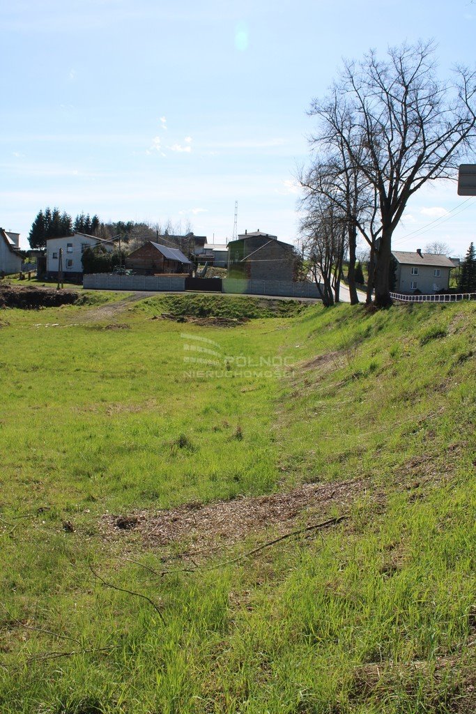 Działka inna na sprzedaż Rzuchów  6 000m2 Foto 12