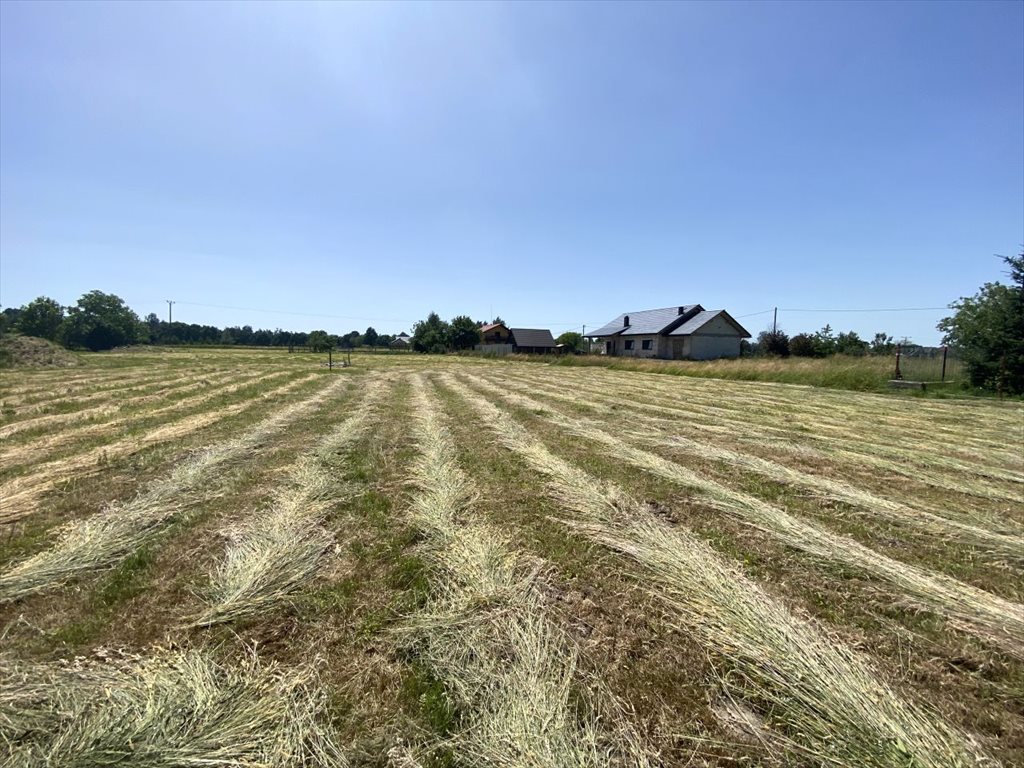 Działka budowlana na sprzedaż Zaborze, Czereśniowa 84  1 492m2 Foto 9