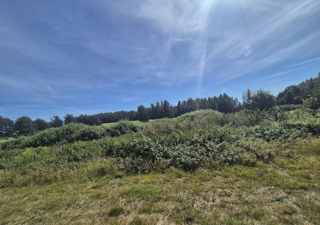 Zapraszam do zakupu działki 1002 m² w Runowie z warunkami zabudowy Runowo  1 002m2 Foto 1