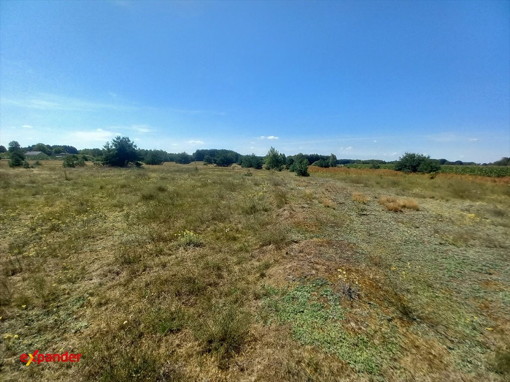 Duża działka 3,02 ha w Blinno, blisko jeziora Łąkie Blinno  30 200m2 Foto 1