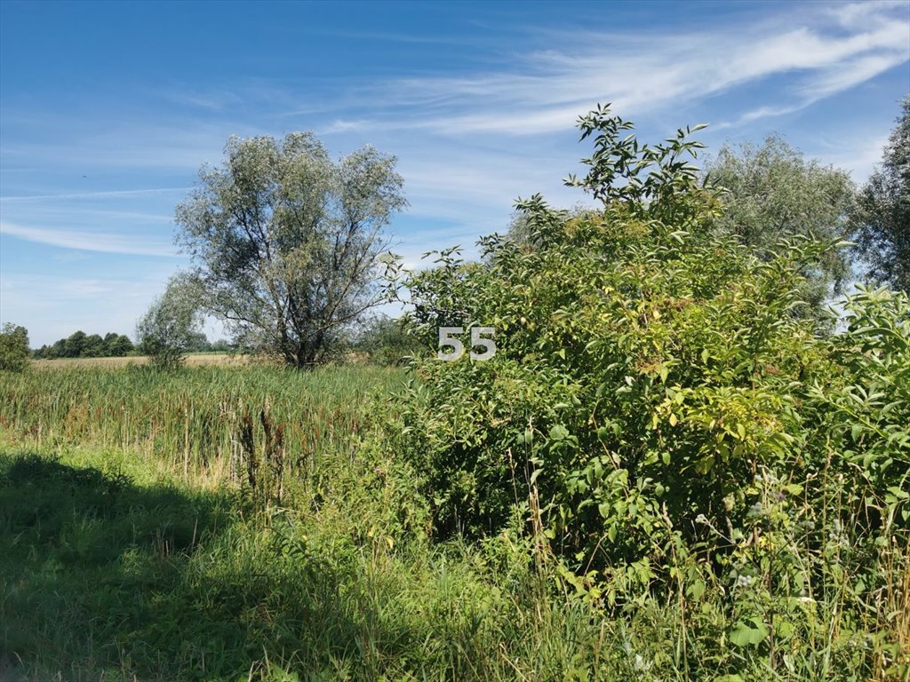 Działka inna na sprzedaż Skotniki  2 500m2 Foto 4