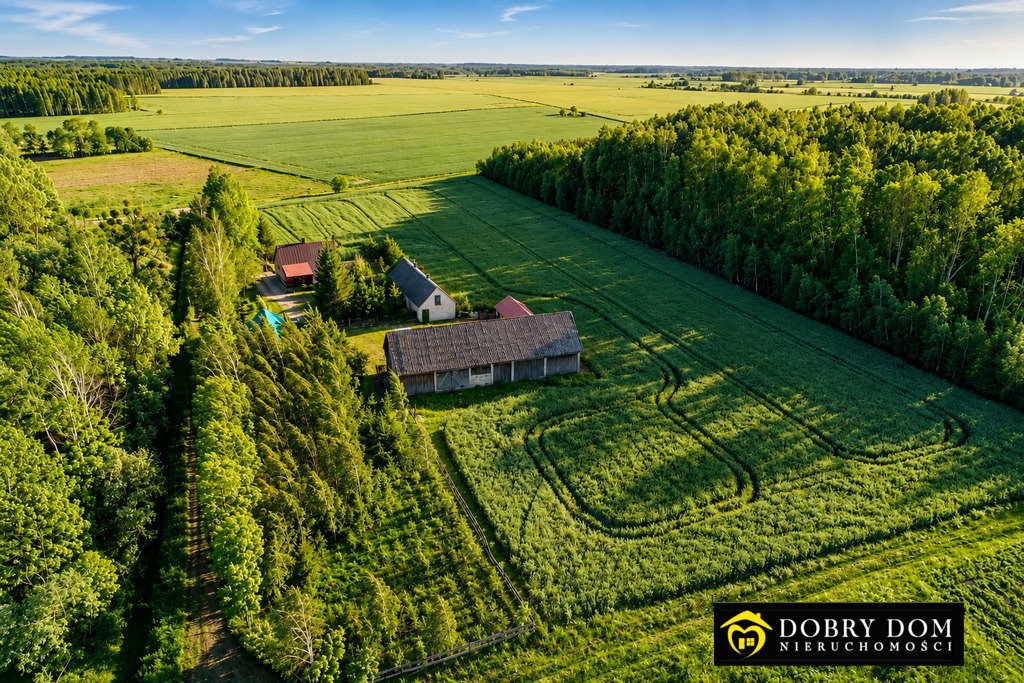 Urokliwe siedlisko 100 m² z dużą działką i lasem Kamień  100m2 Foto 1
