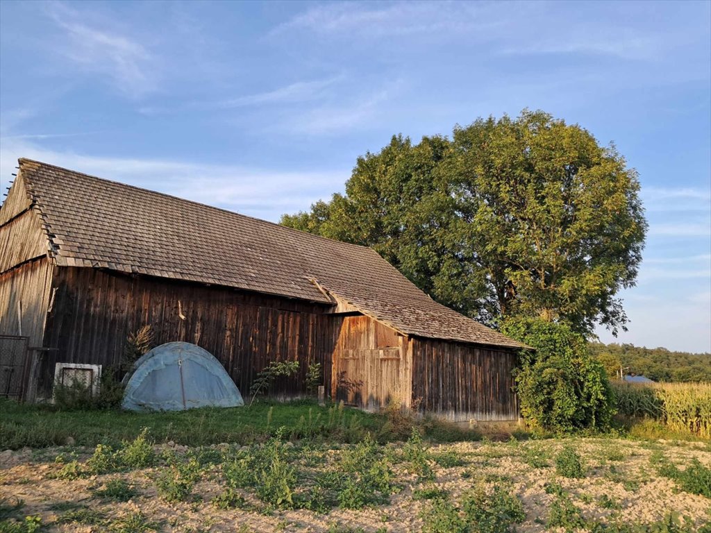 Działka inna na sprzedaż Słomniki, Muniakowice 81  14 527m2 Foto 4