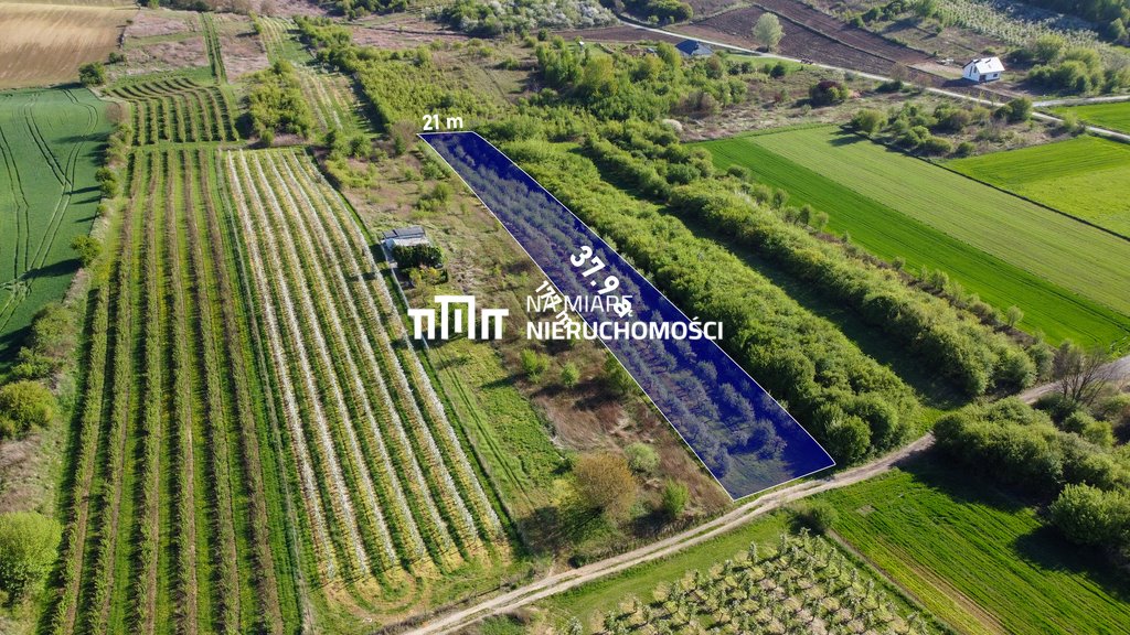 Przestronna działka 37,9 ara z lasem i możliwością rozwoju Sandomierz  3 790m2 Foto 1