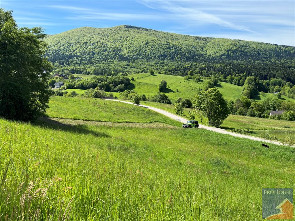 Działka budowlana na sprzedaż Skrzydlna  7 400m2 Foto 9