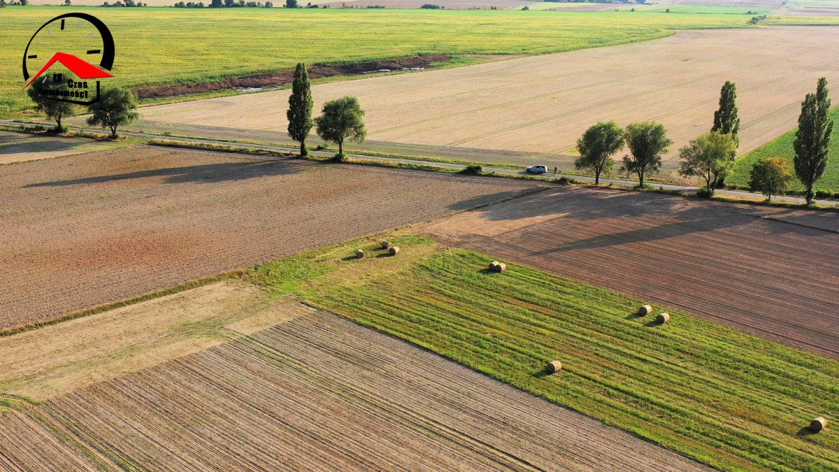 Działka gospodarstwo rolne na sprzedaż Twierdziń  3 000m2 Foto 7