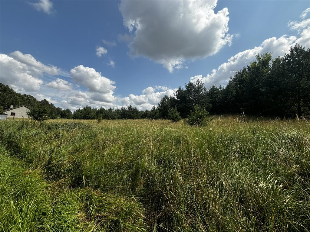 Działka budowlana na sprzedaż Kwidzyn, Sztumska Wieś  1 693m2 Foto 4