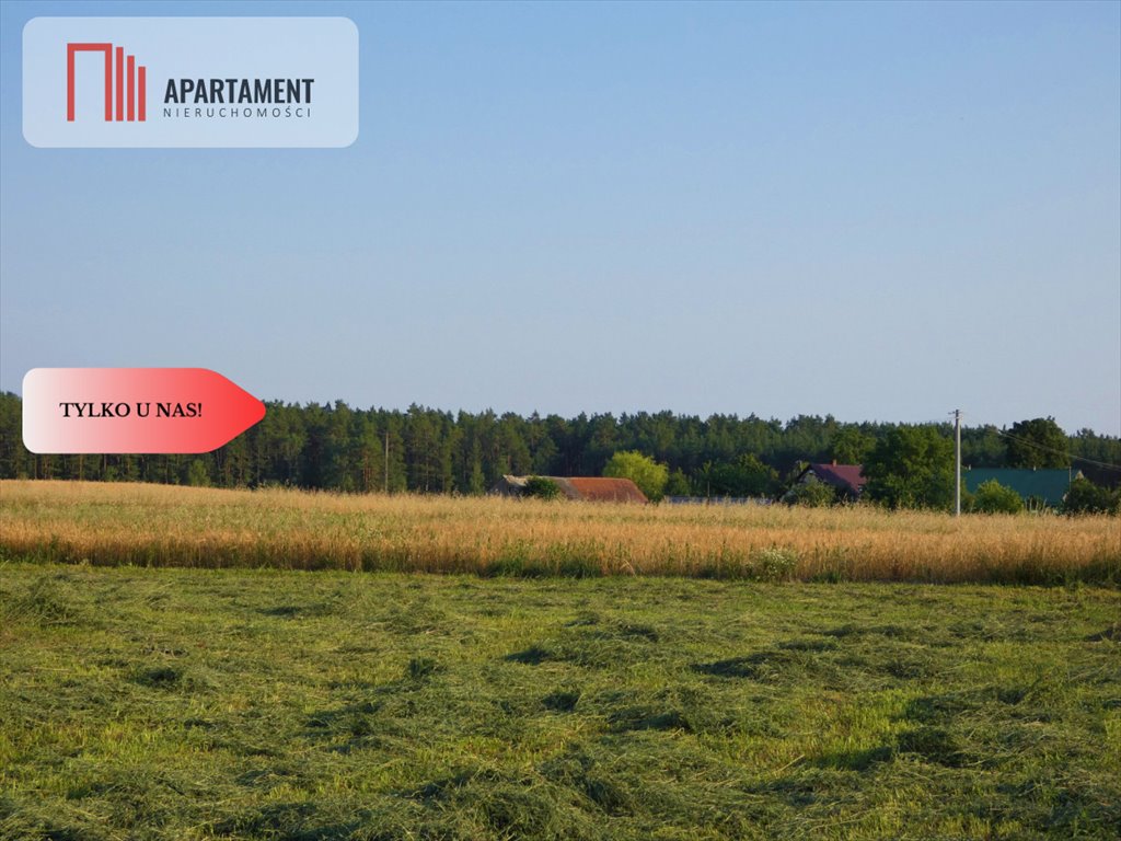 Działka budowlana na sprzedaż Kruszka  5 100m2 Foto 3