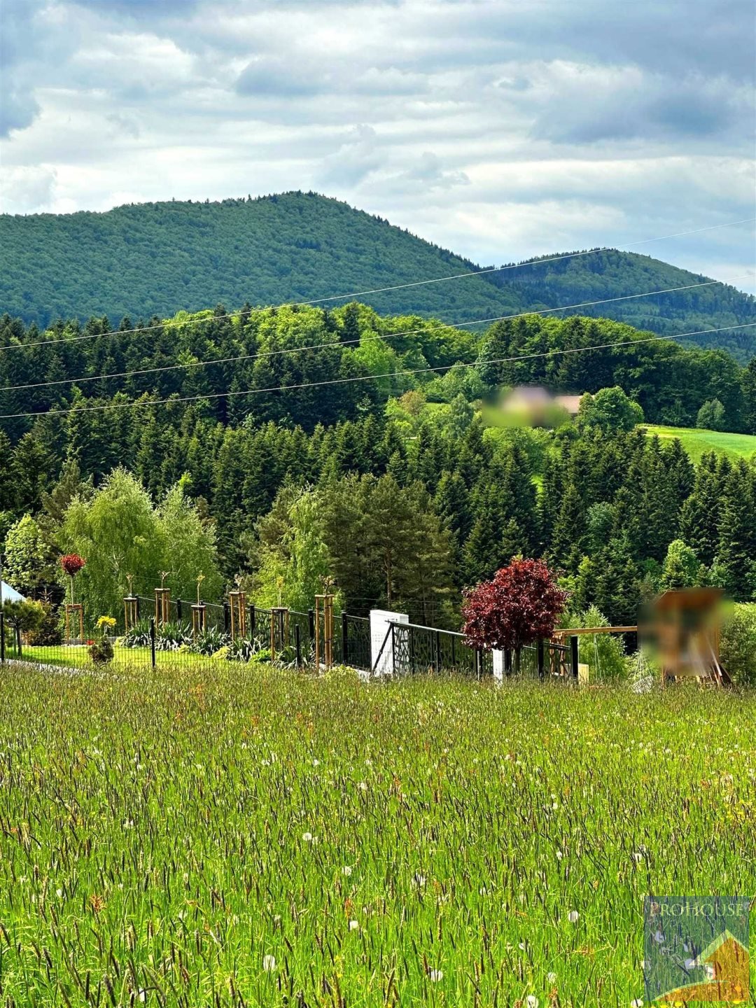 Działka budowlana na sprzedaż Siekierczyna  1 100m2 Foto 1