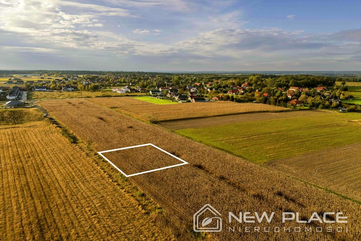 Działka budowlana na sprzedaż Brzezina, Lawendowa  1 003m2 Foto 6