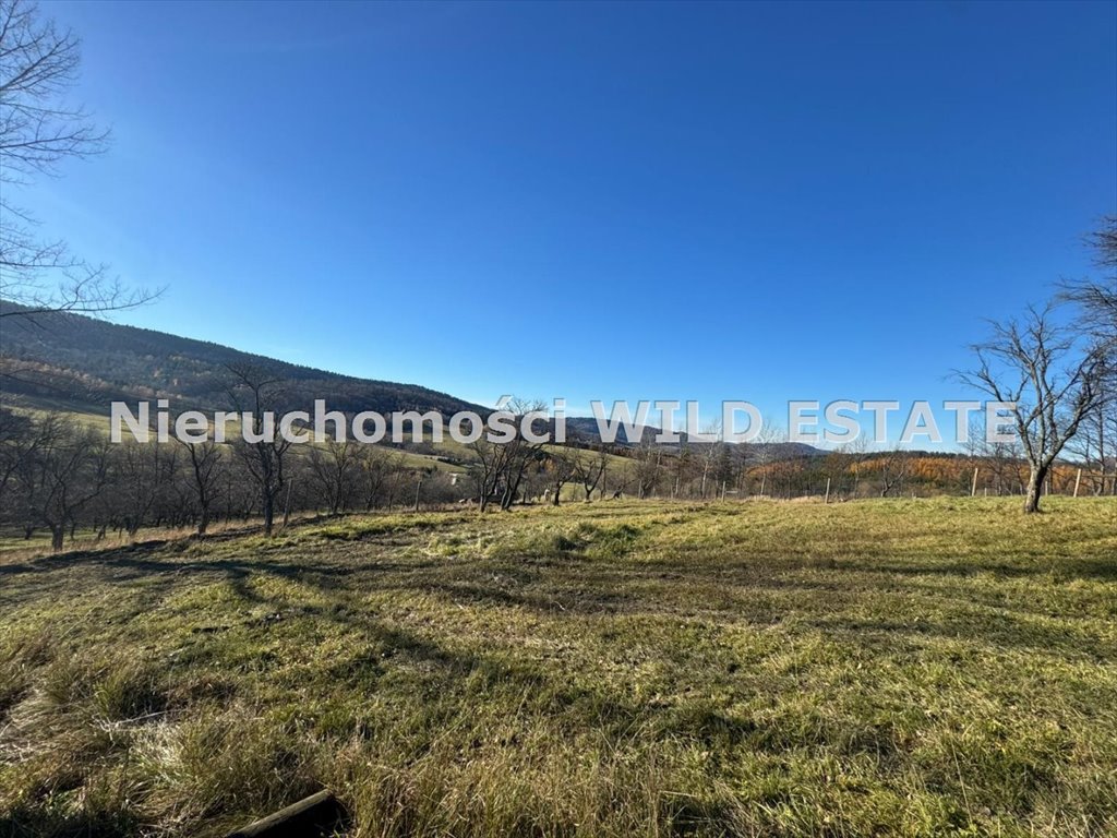 Działka z rozpoczętą budową domu w Bieszczadach, widok i projektem Baligród, Stężnica  2 908m2 Foto 1