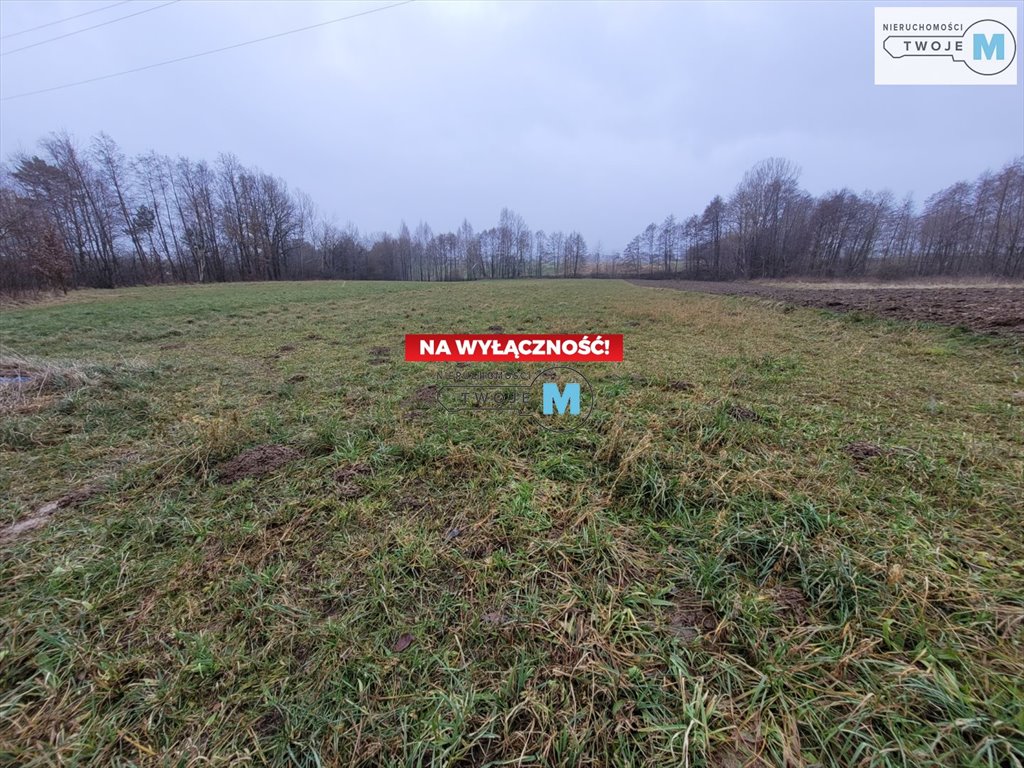 Działka budowlana na sprzedaż Bodzentyn, Sieradowice Drugie  4 800m2 Foto 10