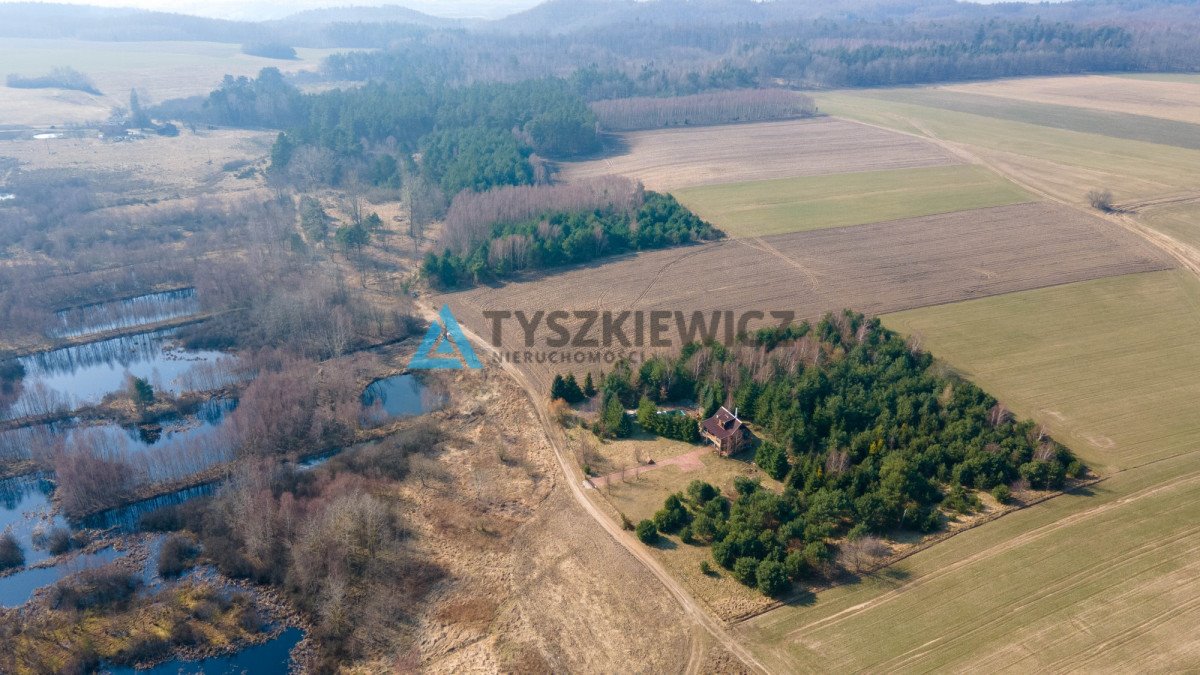 Działka rolna na sprzedaż Krokowa, Polna  10 724m2 Foto 10