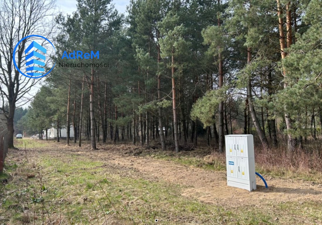 Działka 3400 m² z WZ na 2 domy, las, prąd, blisko Warszawy Mieszkowo  3 400m2 Foto 1