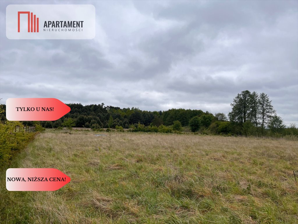 Działka 1000 m² z warunkami zabudowy, spokój i bliskość miasta Nowe Dąbie  1 008m2 Foto 1