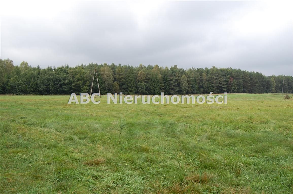 Działka inna na sprzedaż Płytnica  17 200m2 Foto 2