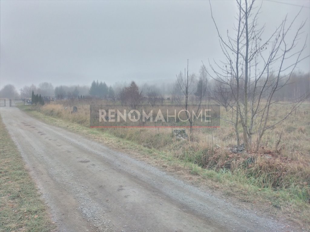 Działka przemysłowo-handlowa na sprzedaż Nowa Ruda, Słupiec  10 021m2 Foto 6