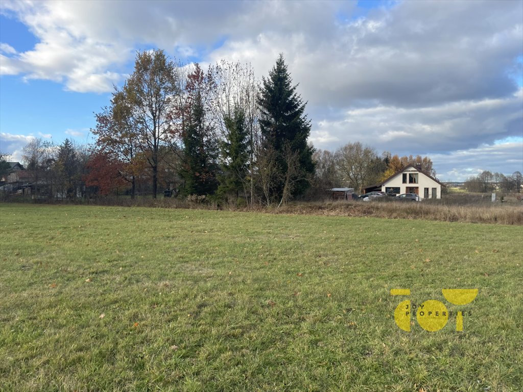 Działka budowlana na sprzedaż Dzikie  1 610m2 Foto 4