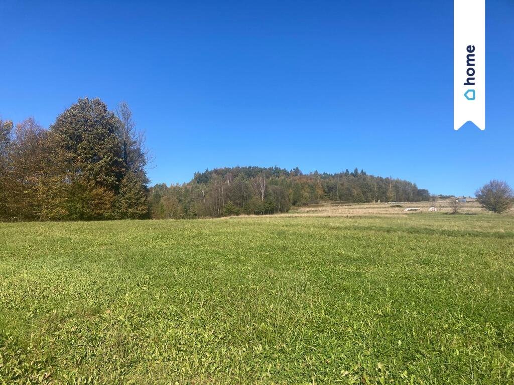 Działka inna na sprzedaż Trzebunia  4 600m2 Foto 2