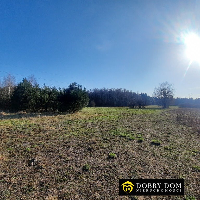 Duża działka inwestycyjna 27 200 m² z mediami i MPZP Płonka Kościelna  27 200m2 Foto 1